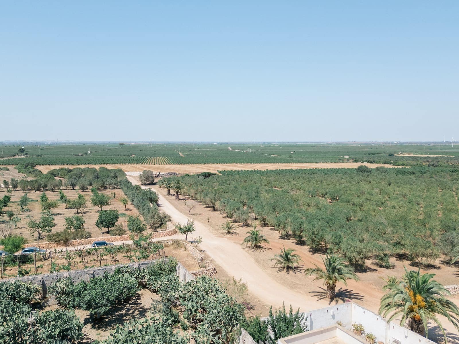 Masseria Potenti wedding