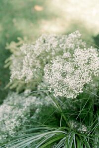 close up film photography of wedding flowers