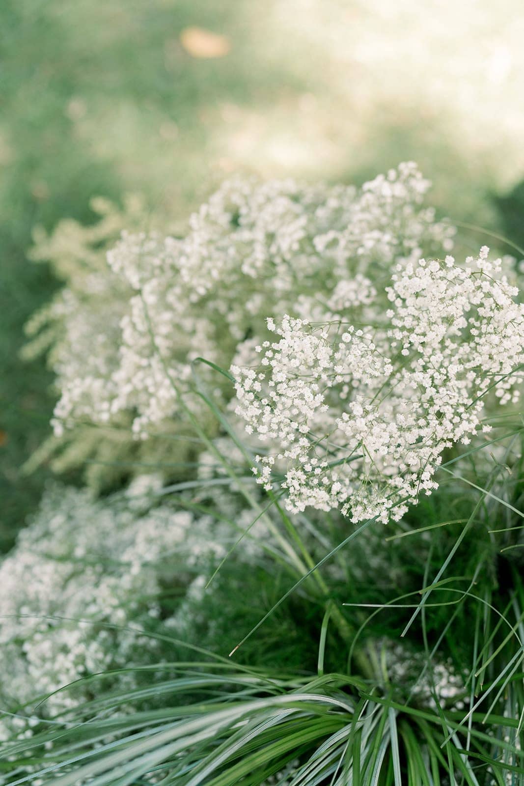 close up film photography of wedding flowers